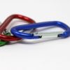 Picture of Help Smokey Prevent Wildfires Carabiners