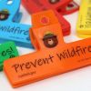 Picture of Smokey Bear Emoji Chip Clips 