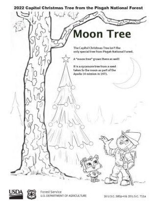Picture of 2022 Capitol Christmas Tree Coloring Sheet #4