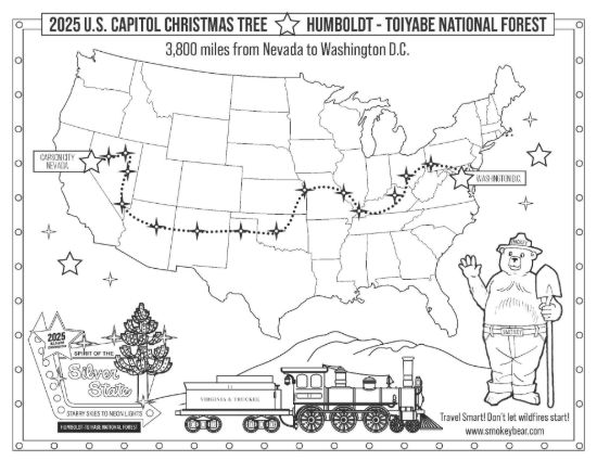 Picture of 2025 Capitol Christmas Tree Coloring Sheet #2